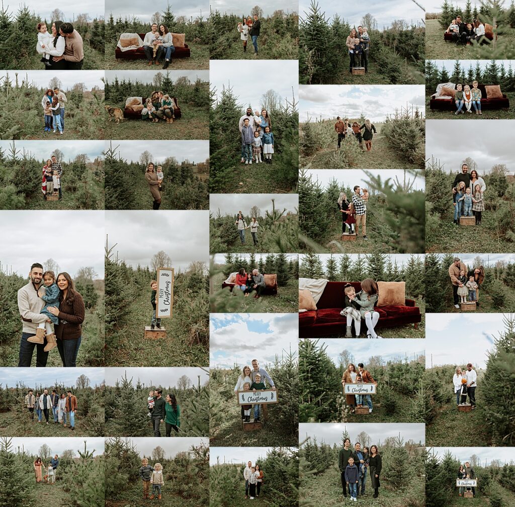Outdoor tree farm christmas sessions